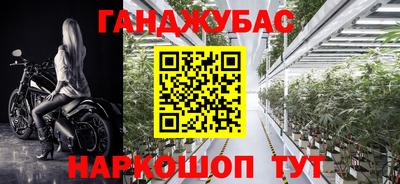 прущие грибы Абакан