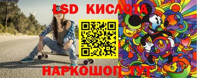 прущие грибы Абакан