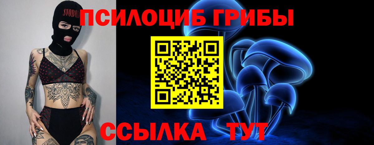 Ачхой-Мартан  Галлюциногенные грибы Magic Shrooms  Вход с VPN 